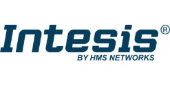 Intesis