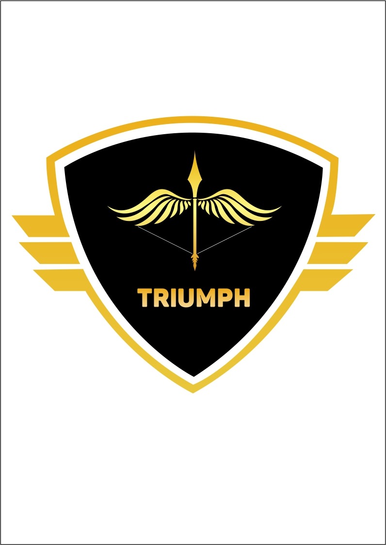 TRIUMPH DESIGN CORPORATION